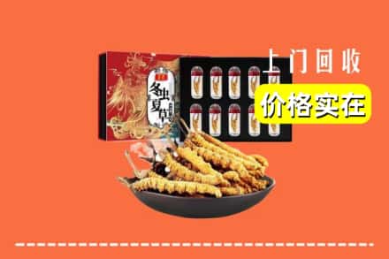 鄂尔多斯康巴什区回收冬虫夏草