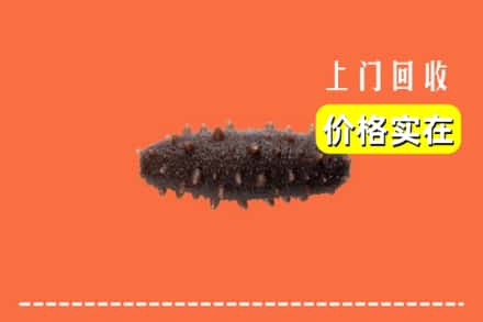 鄂尔多斯康巴什区回收海参