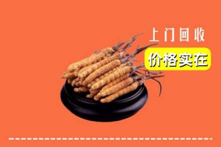 鄂尔多斯康巴什区回收冬虫夏草